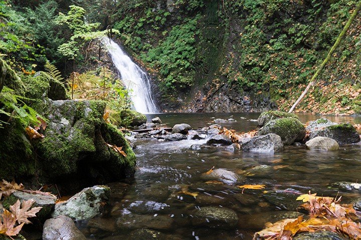 Ladysmith Hikers & Nature Explorers group cover